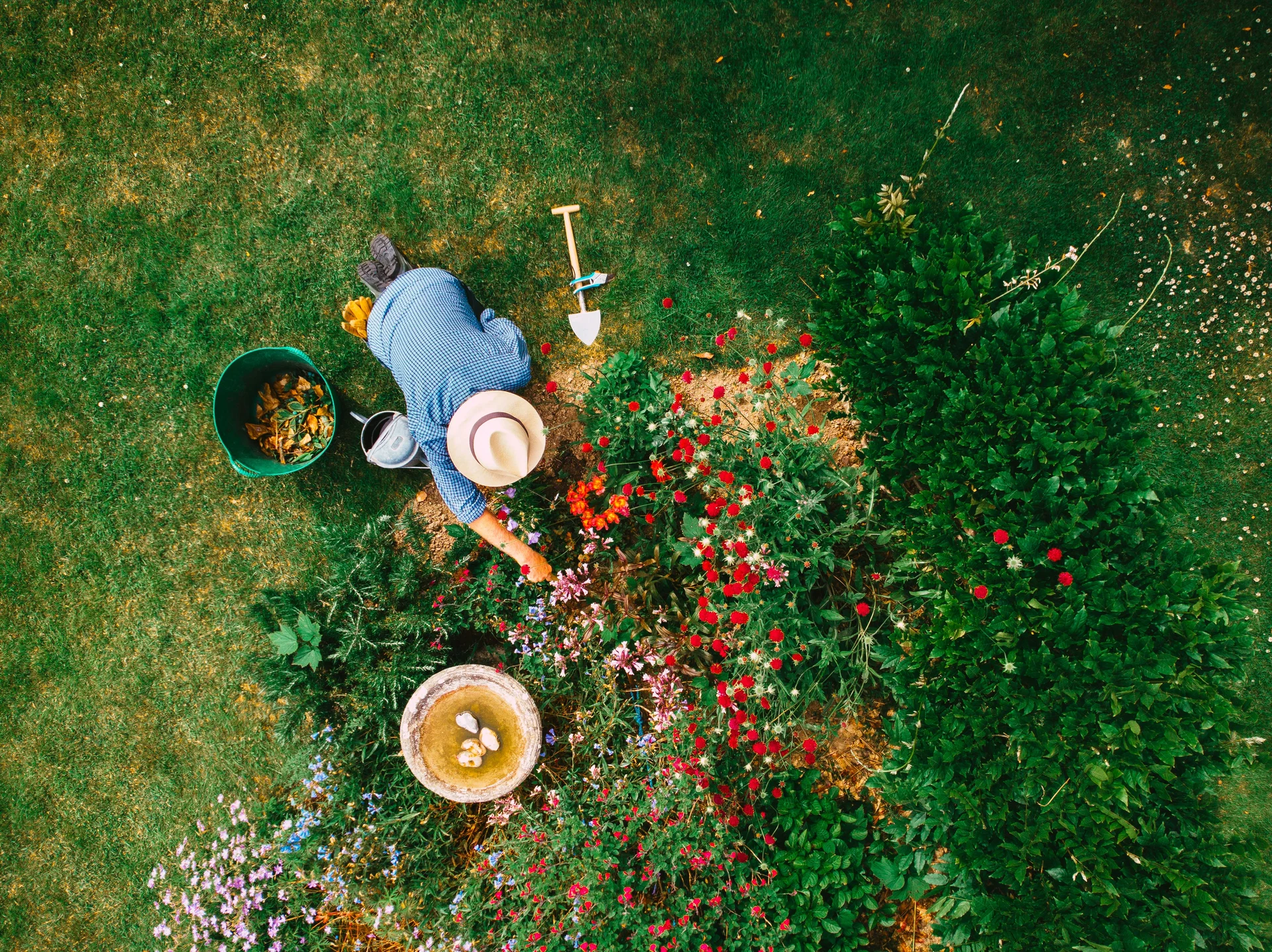 summer garden maintenance