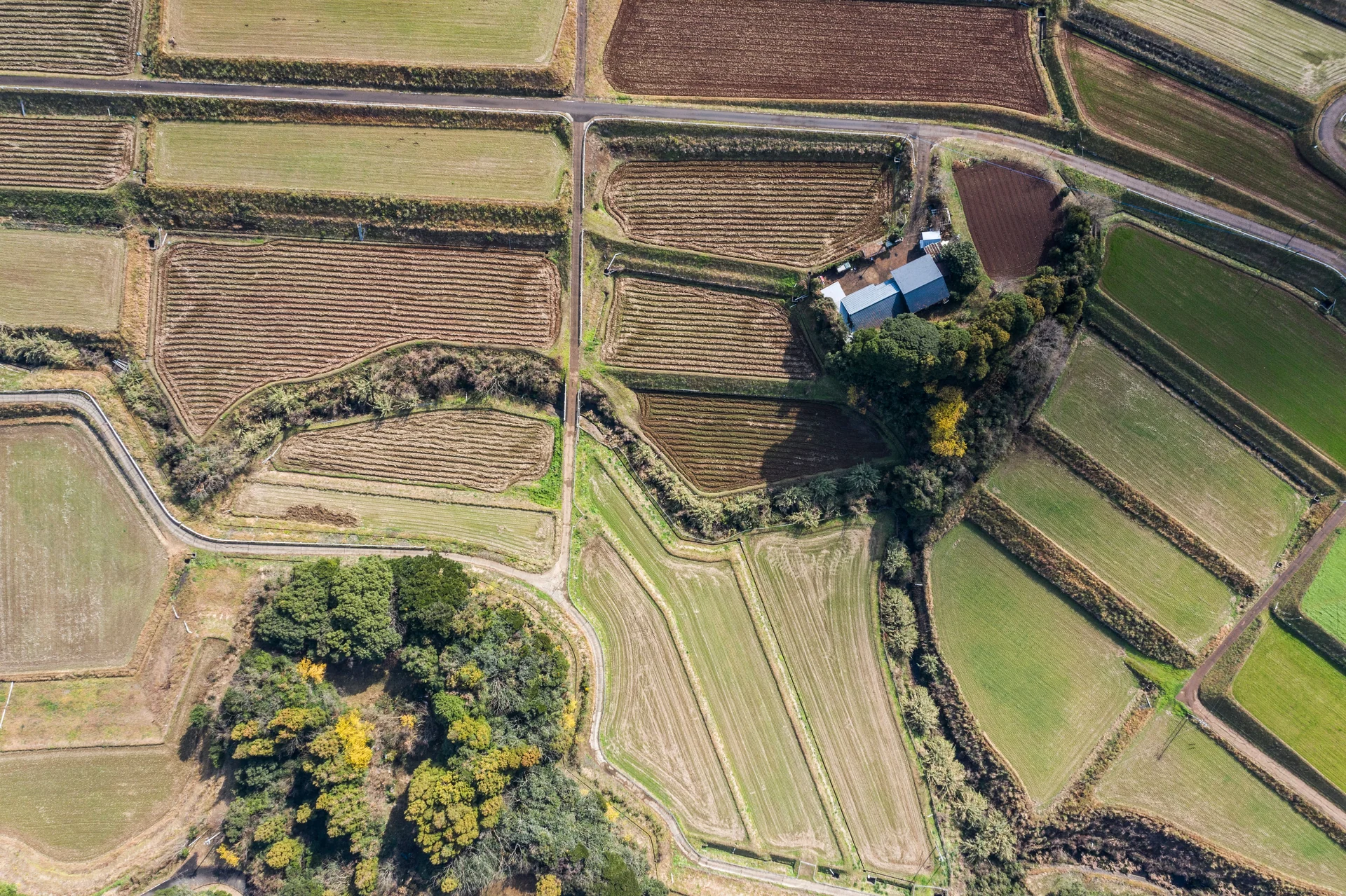 bio swale project