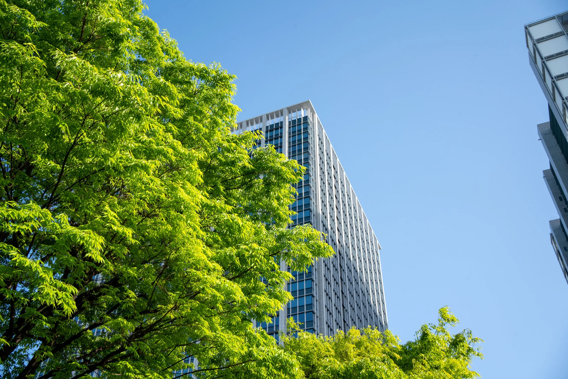 urban greenery