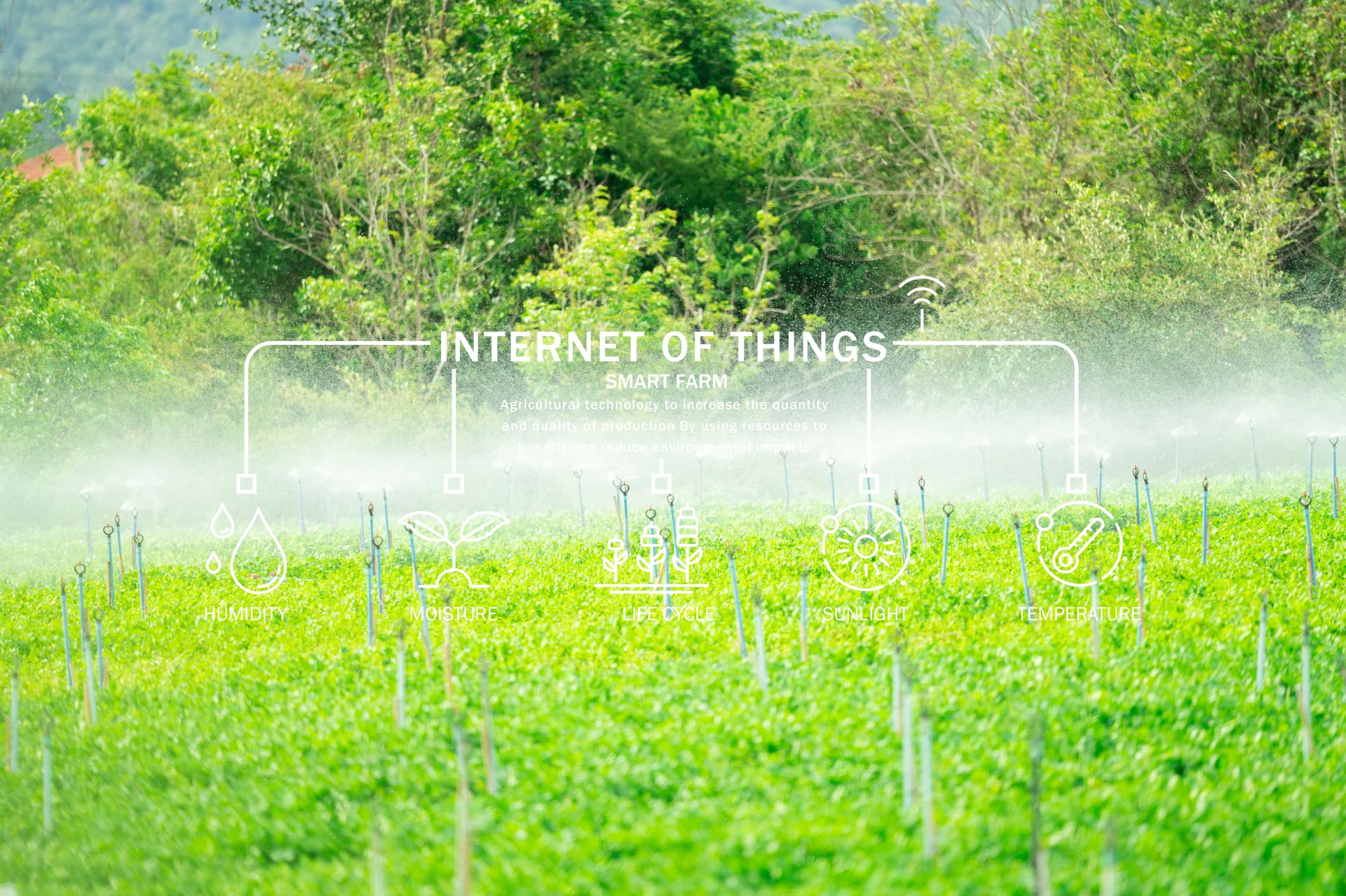 smart irrigation