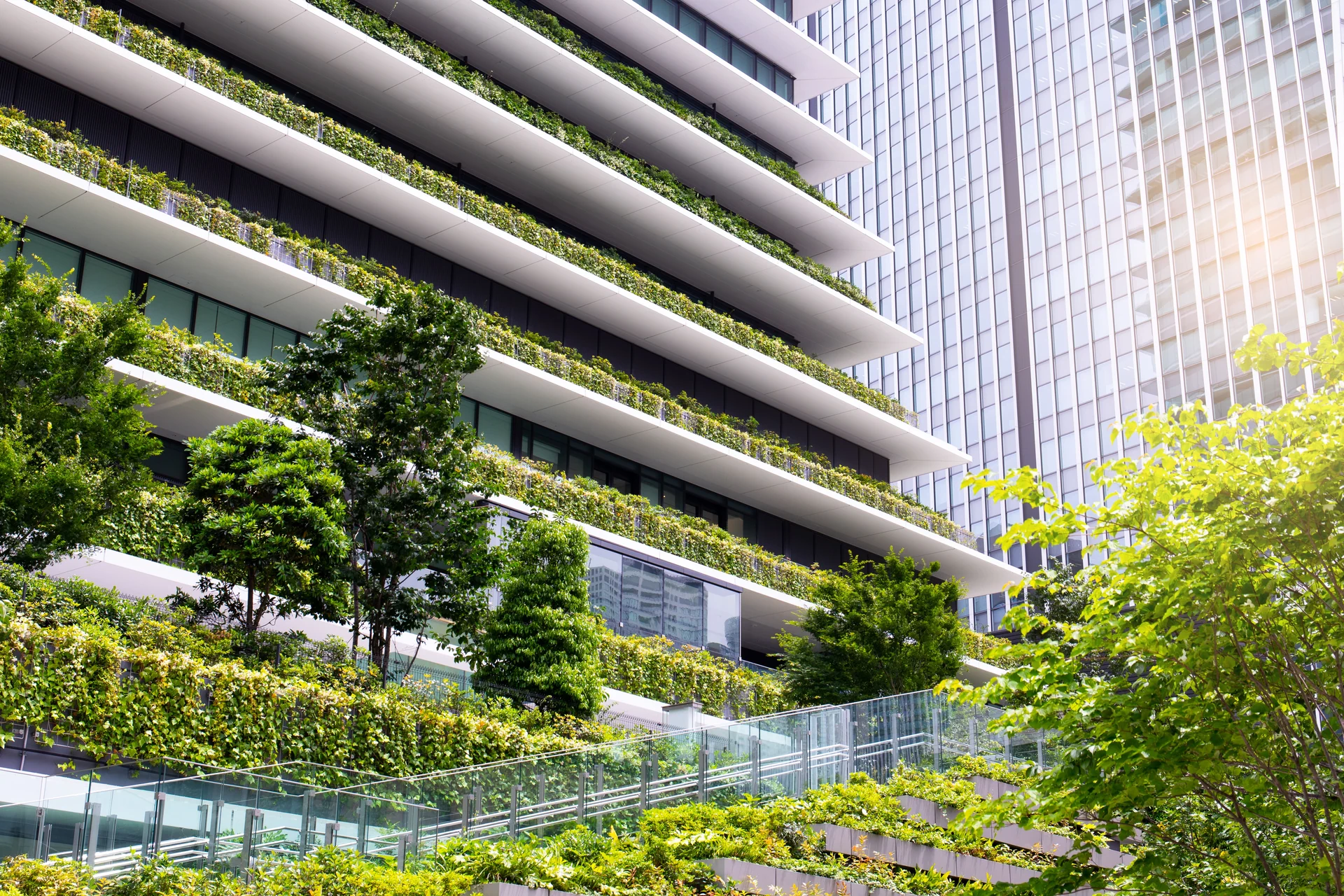 sustainable landscape