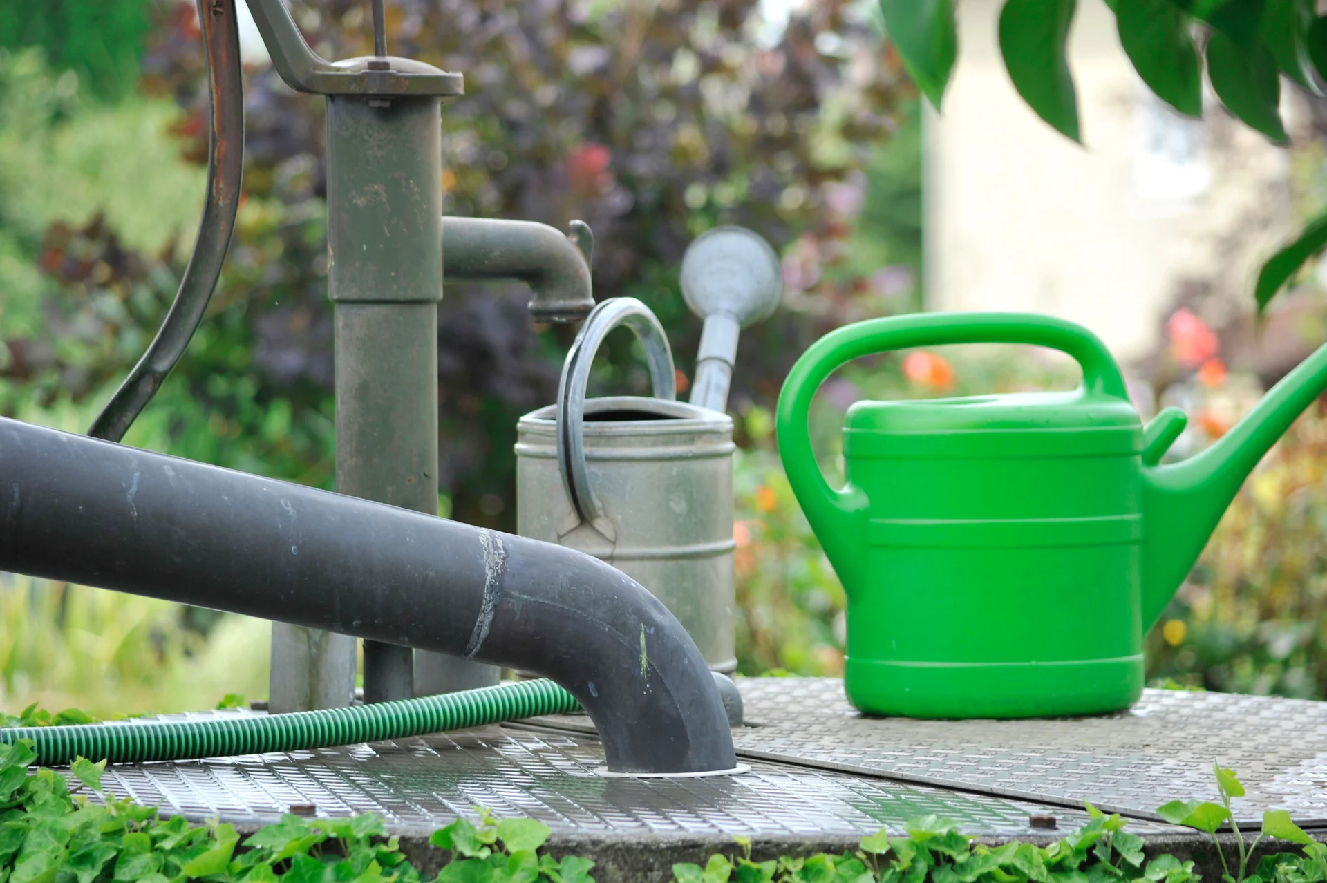 stormwater garden