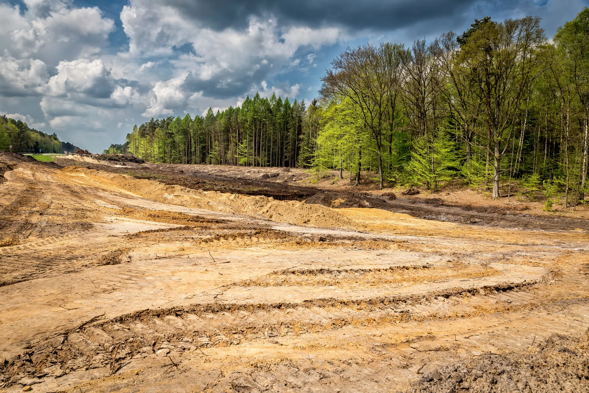 landscape construction