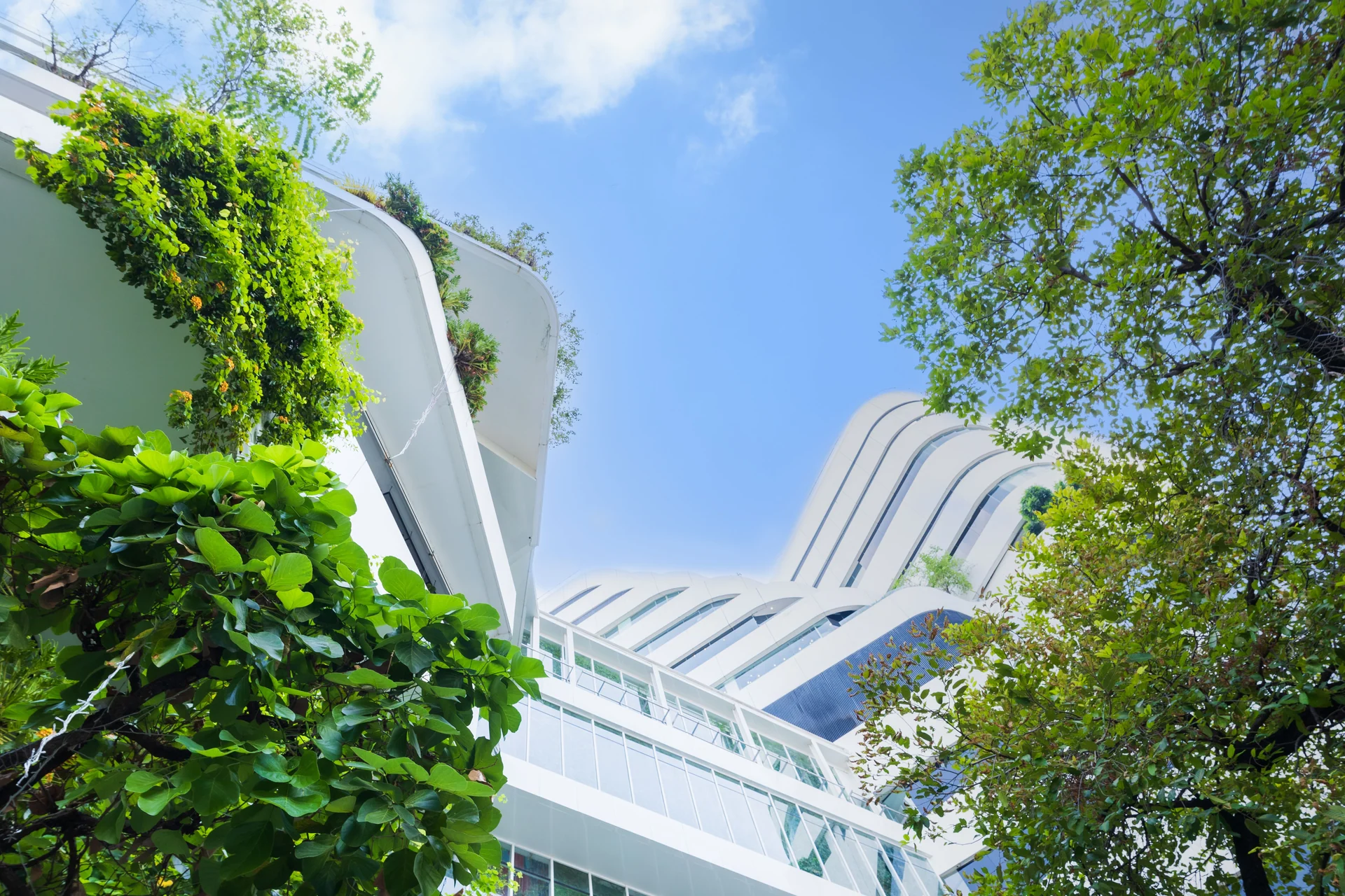 urban landscape green