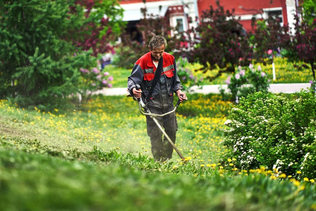 garden maintenance