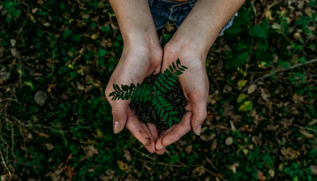 sustainable development