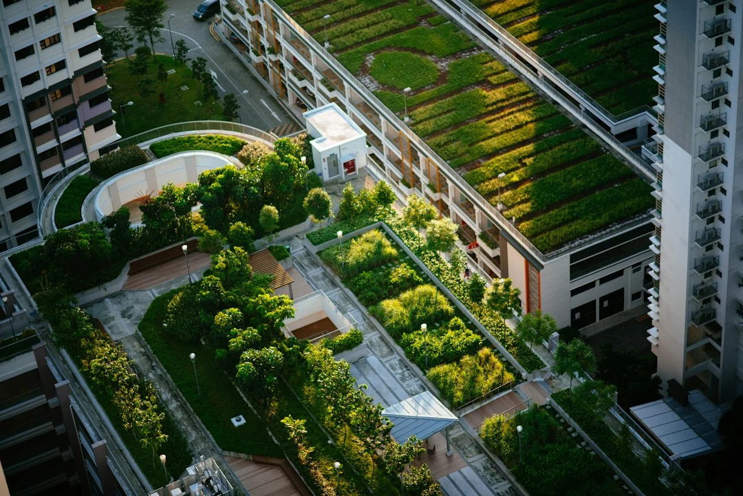 urban green infrastructure