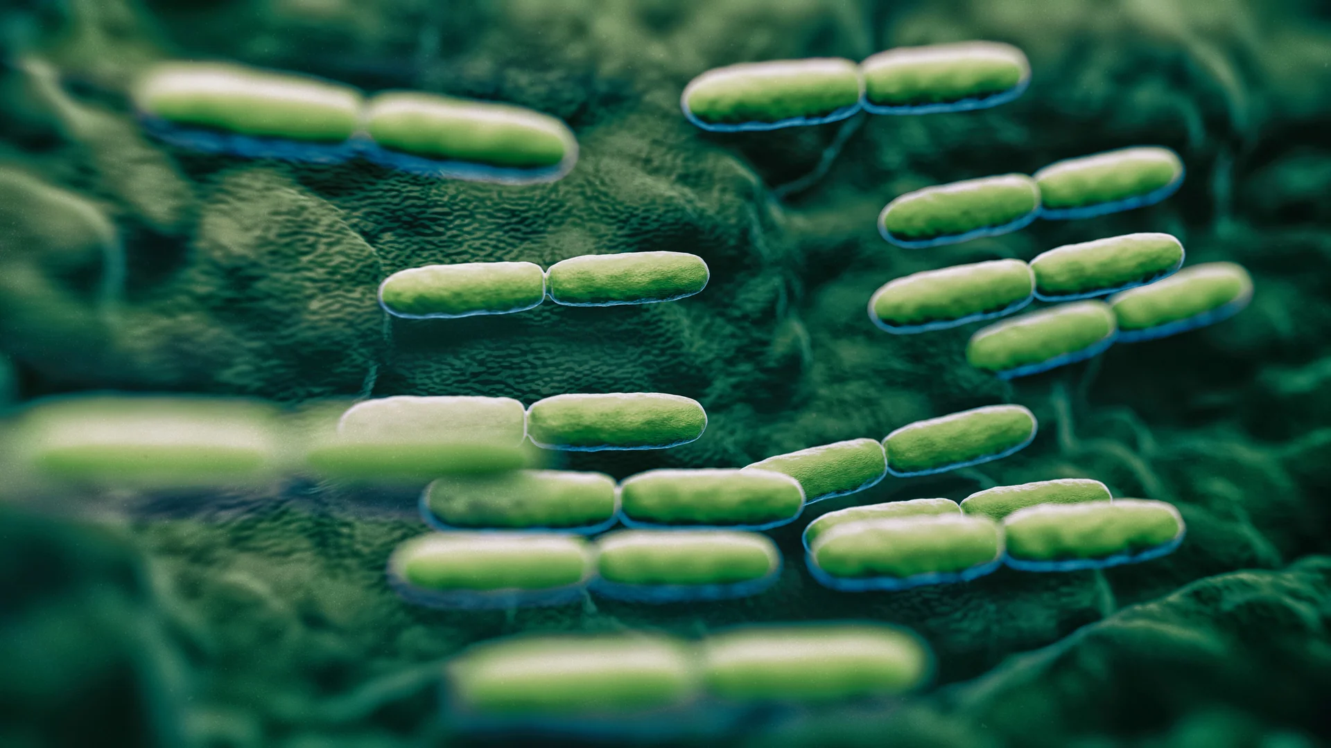bio-swale design