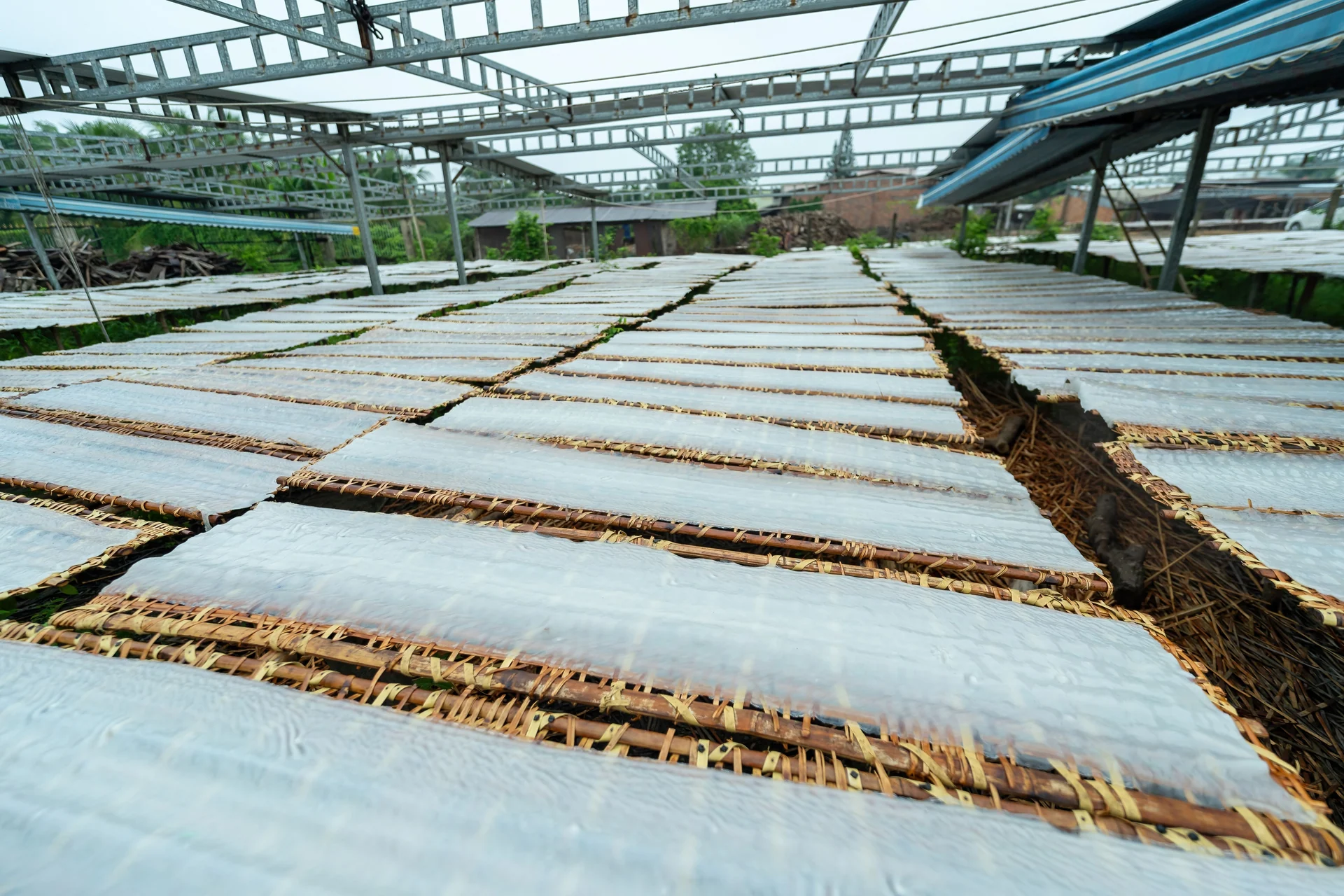 bio-swale construction