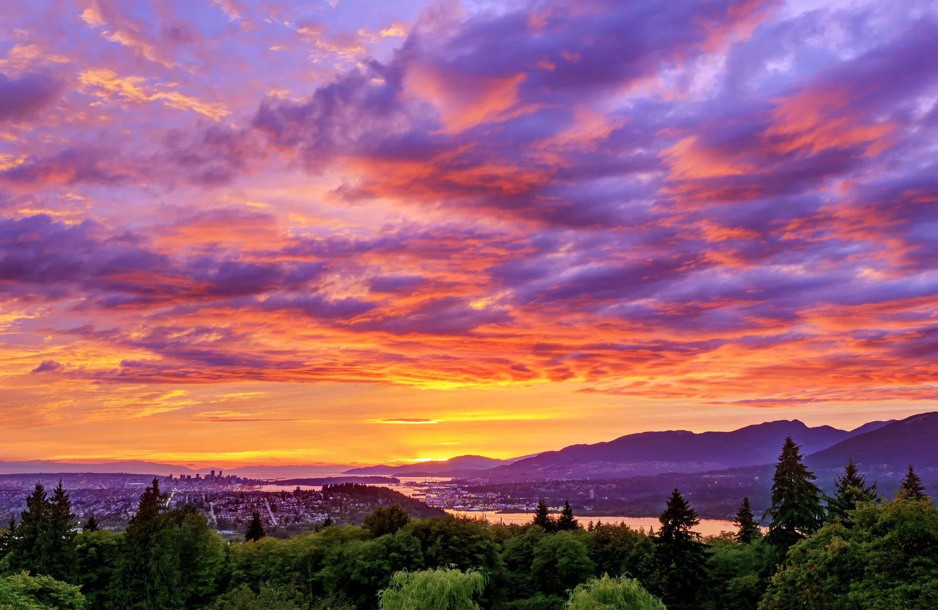 beautiful landscape