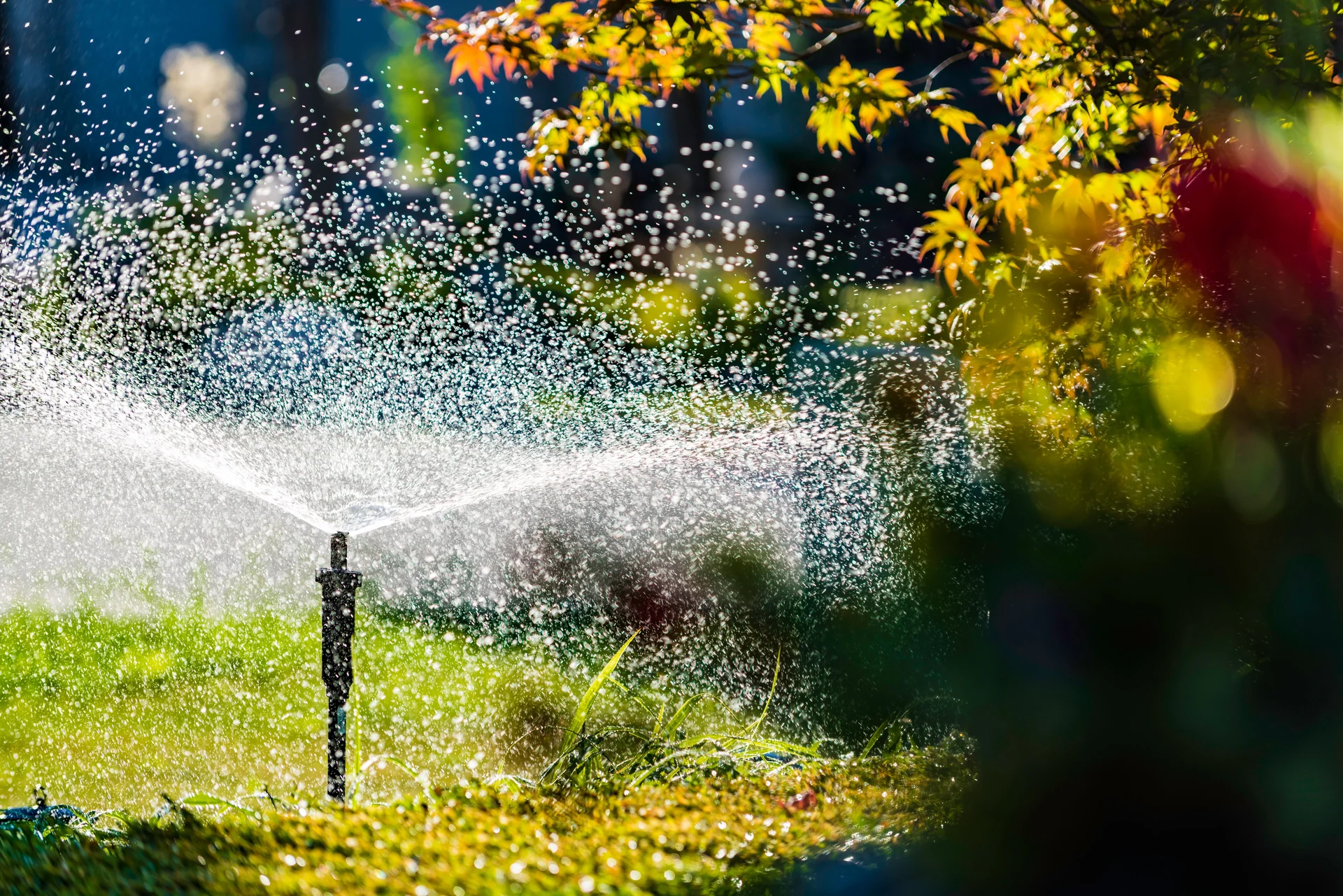 landscape maintenance
