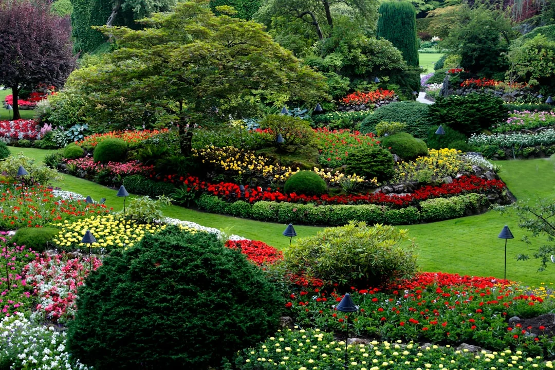landscape design