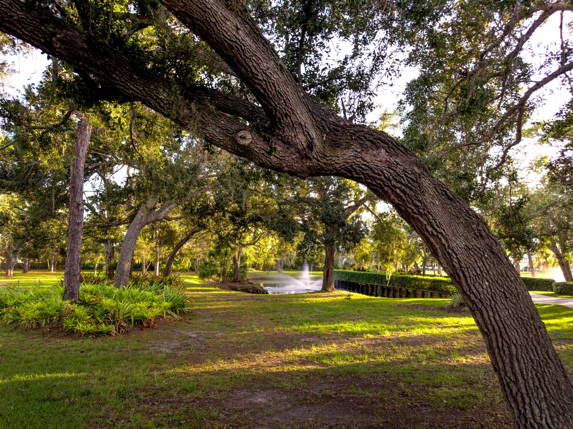 sarasota park