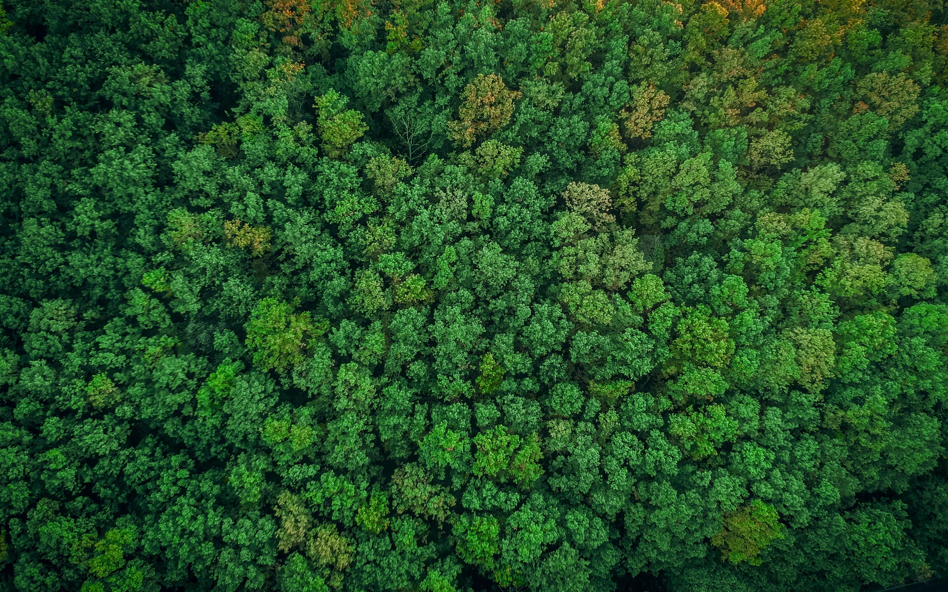 eco-friendly materials