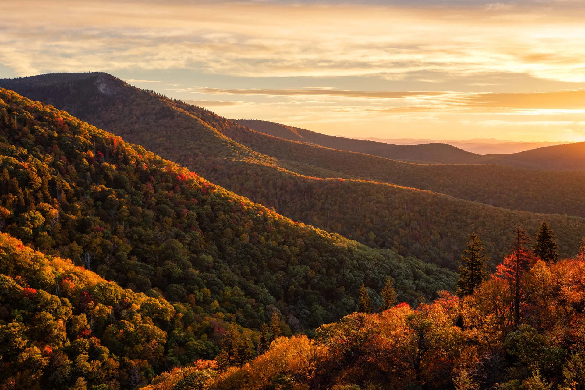 fall landscape