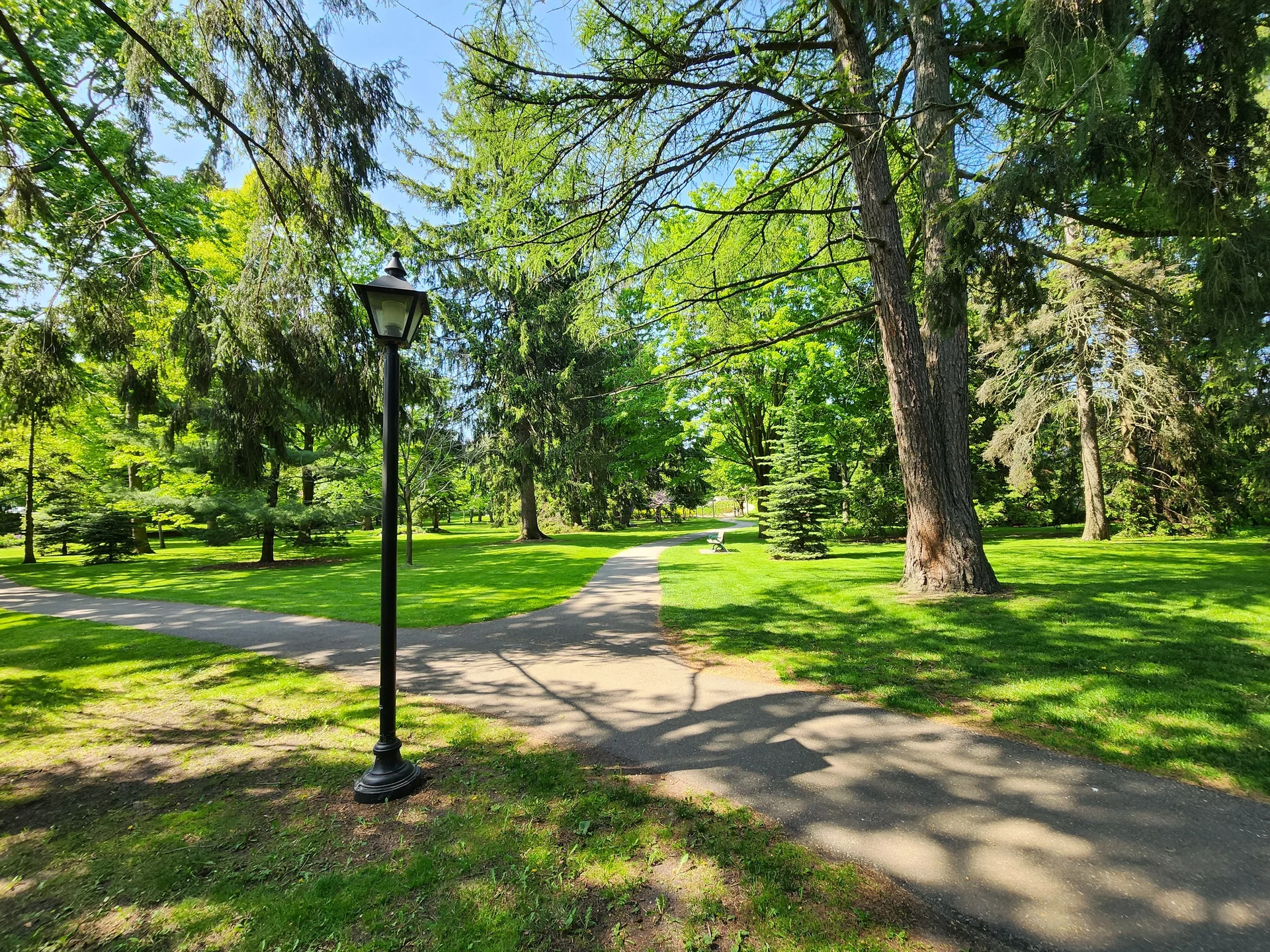 city park