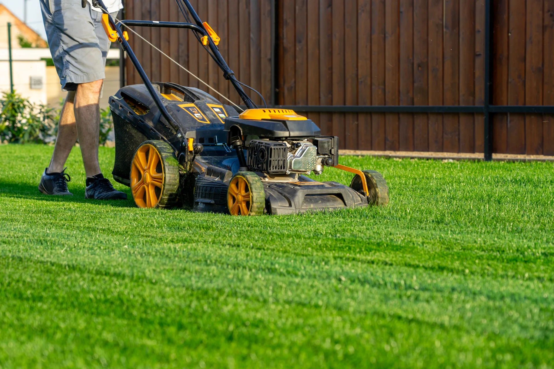landscape maintenance