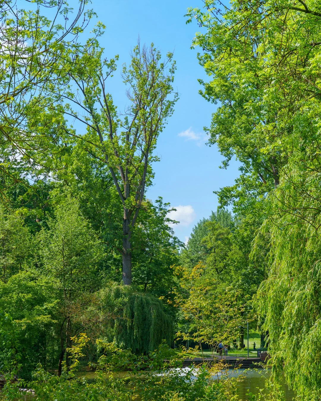 urban green space