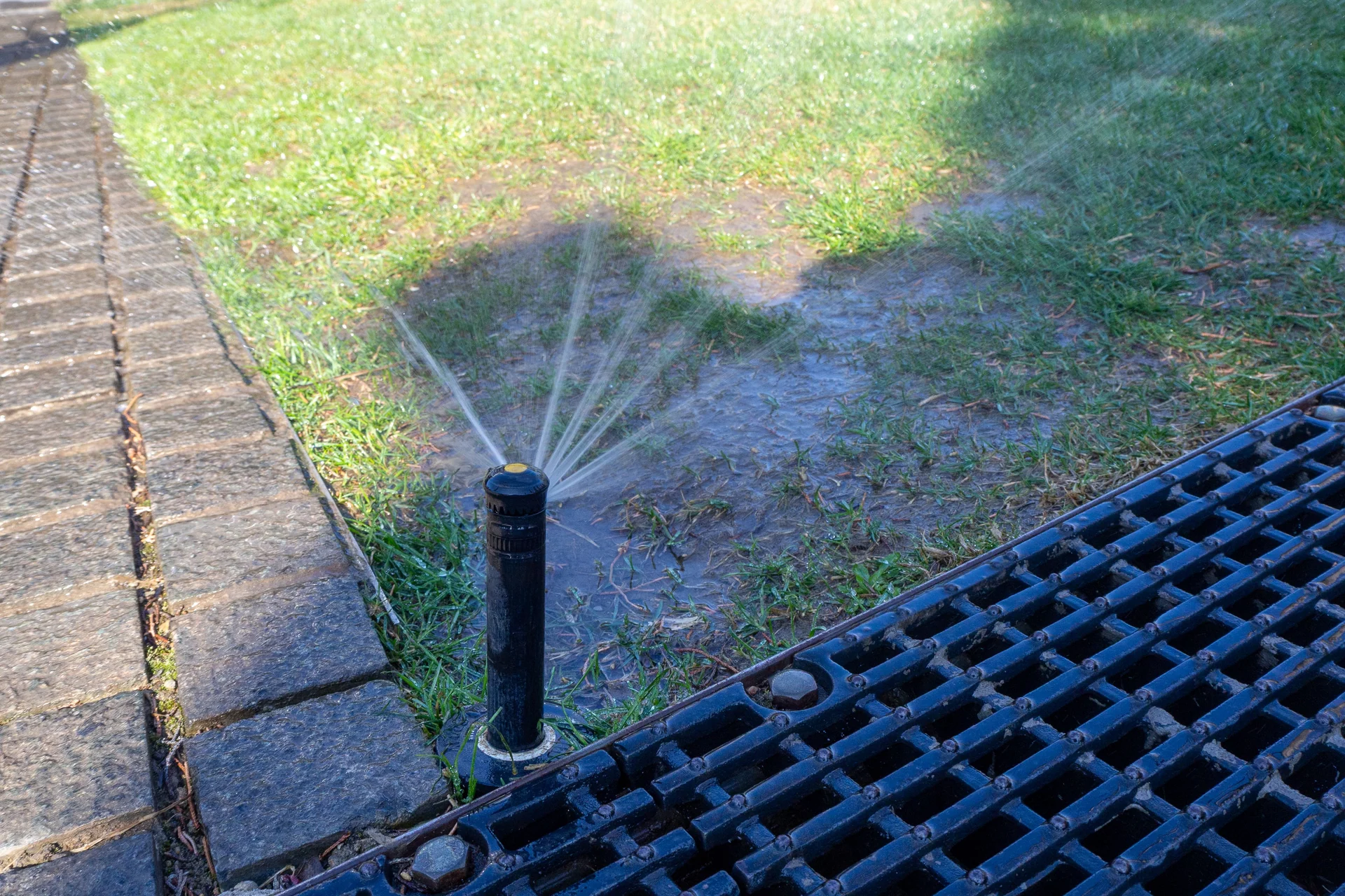 landscape maintenance
