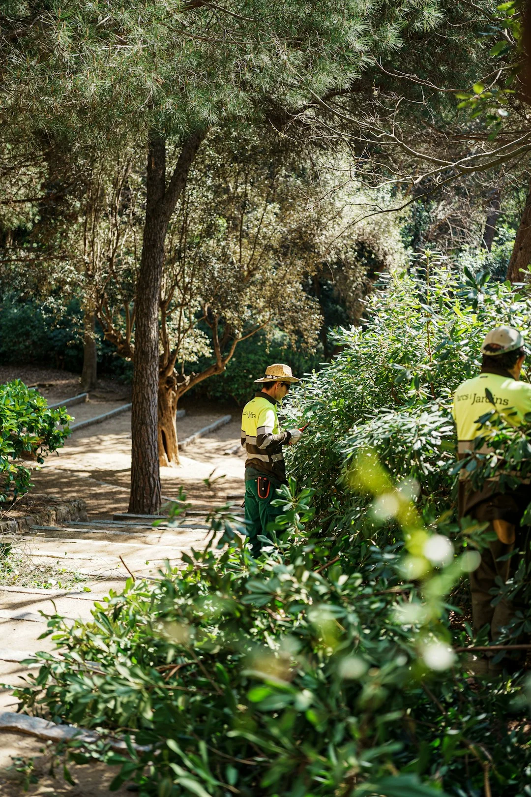 landscape-maintenance