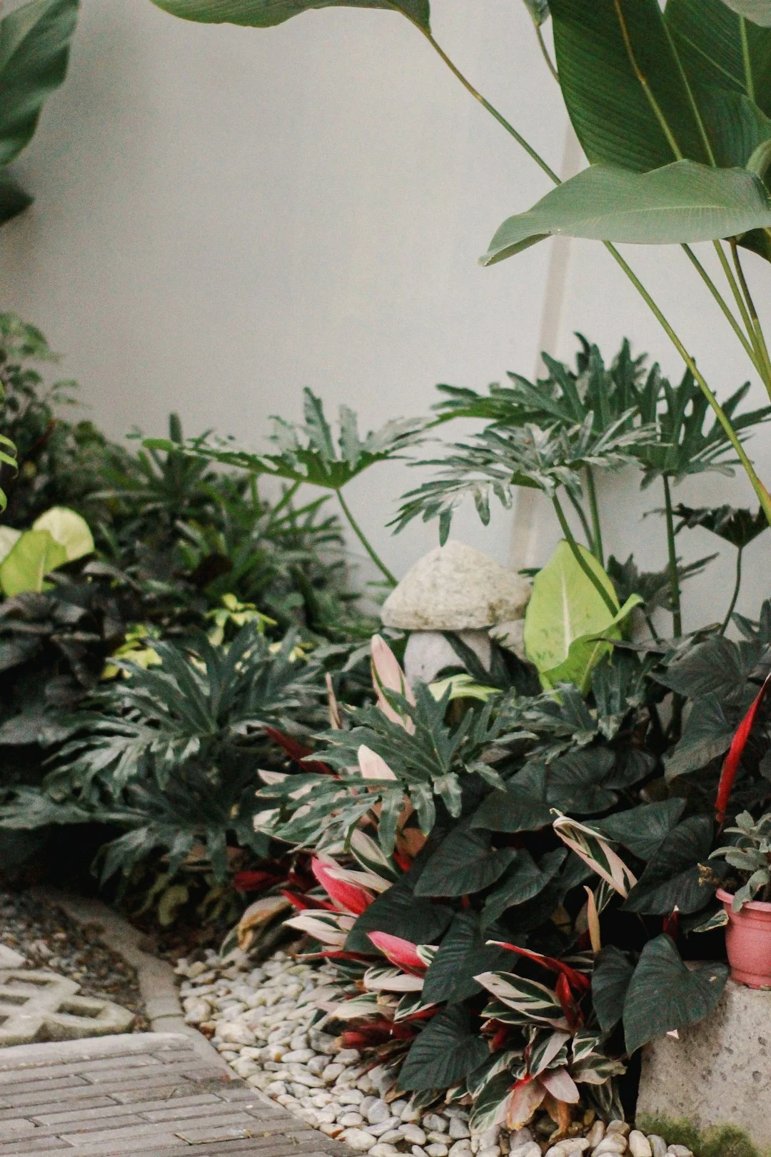 landscaping plants