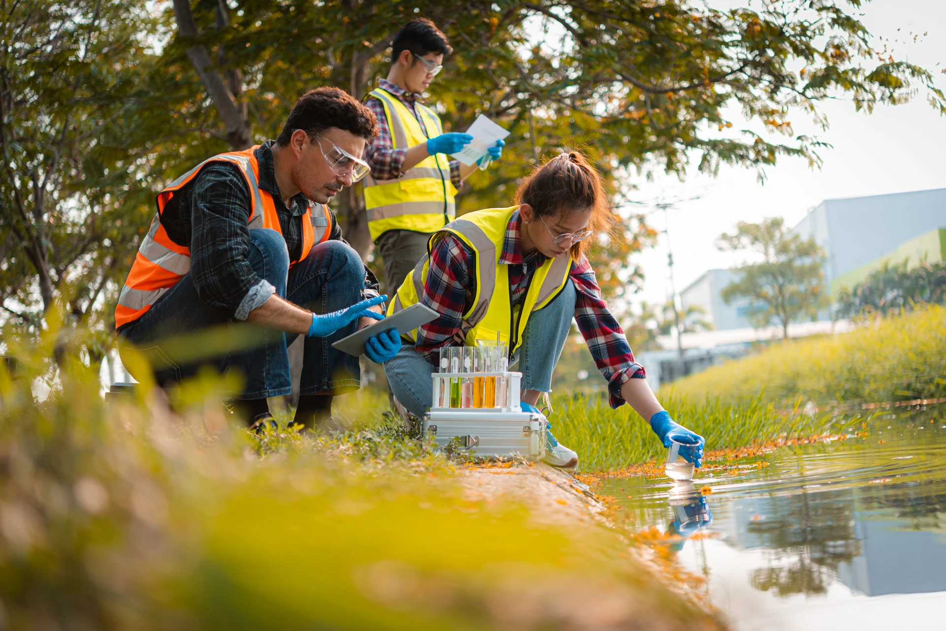 environmental review