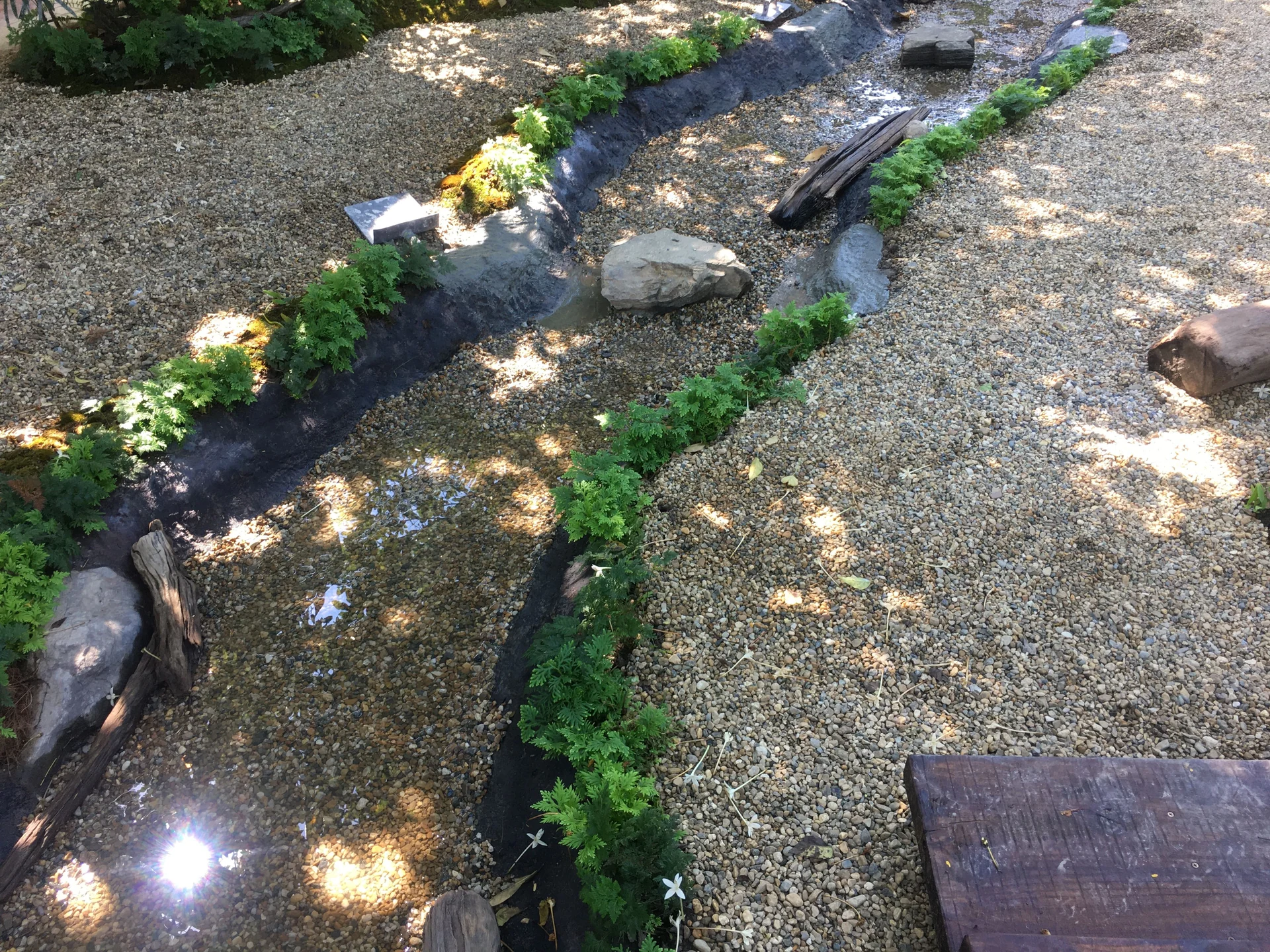 bio-swale design