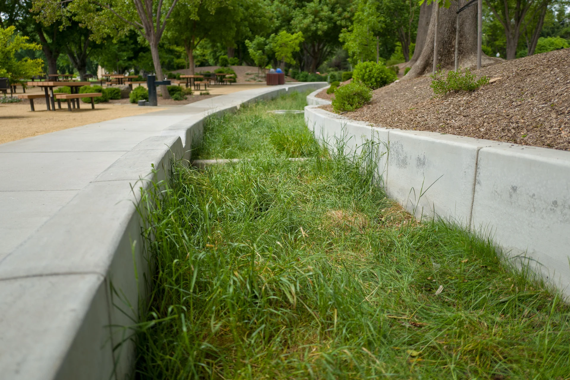 bio-swale landscape