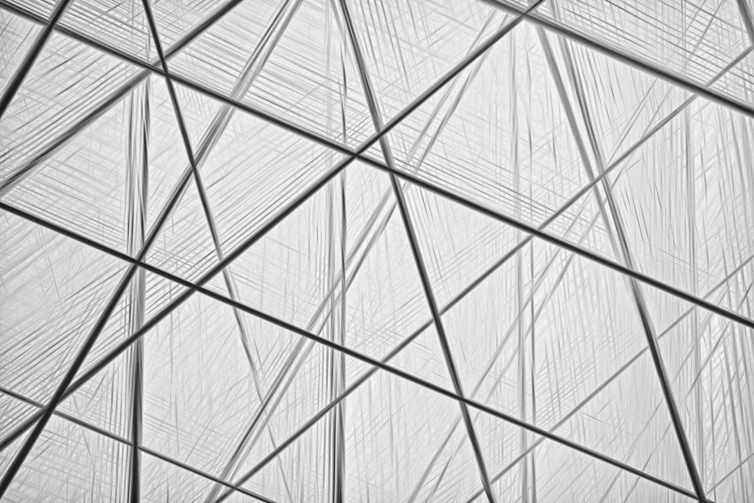 transparency management