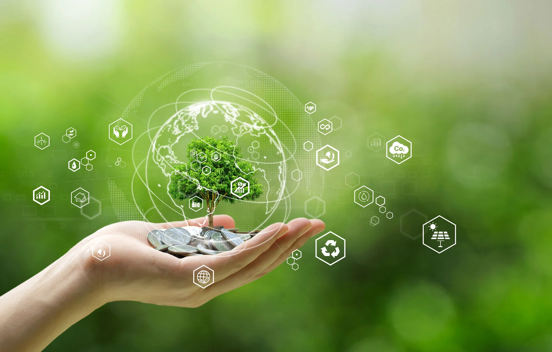 environmental grants