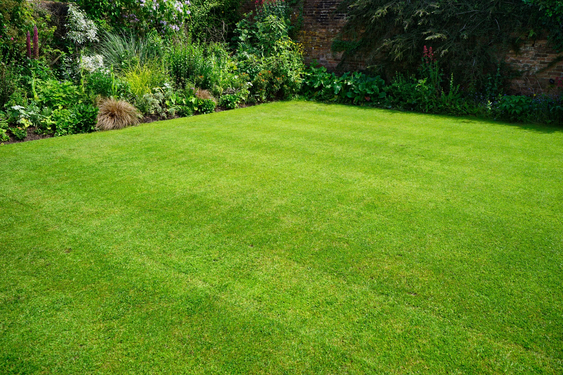 eco-friendly garden