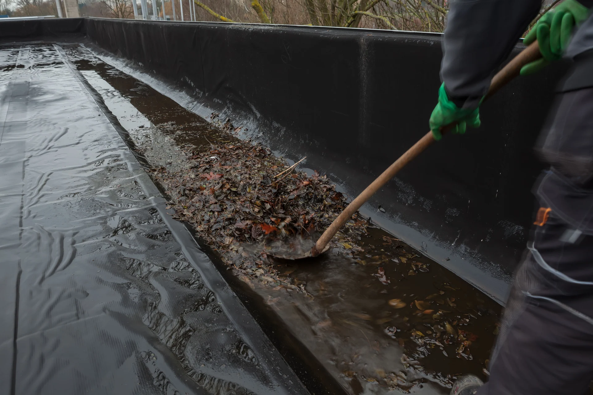 bio swale maintenance